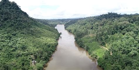 Sungai Kayan .